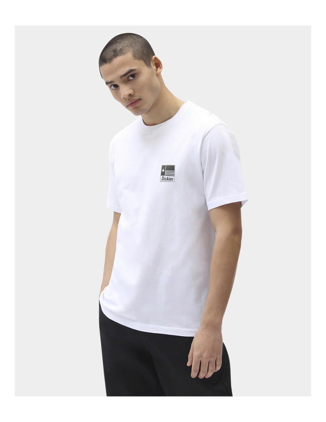 T-shirt DICKIES Taylor 2