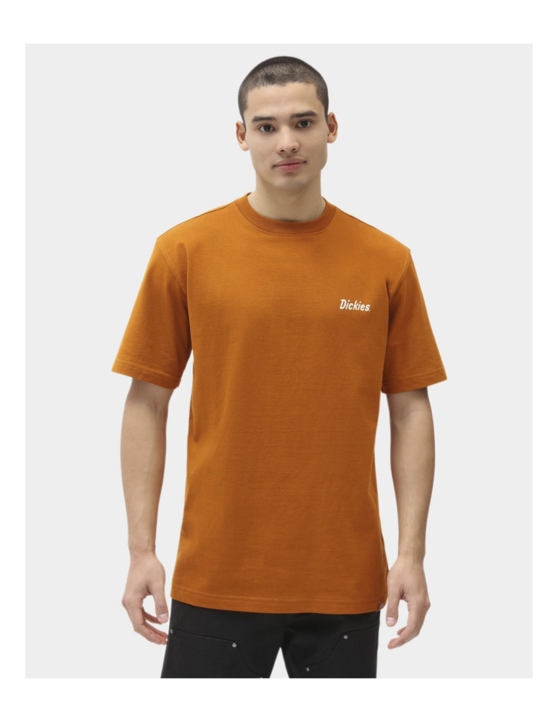 T-shirt DICKIES BETTLES 2