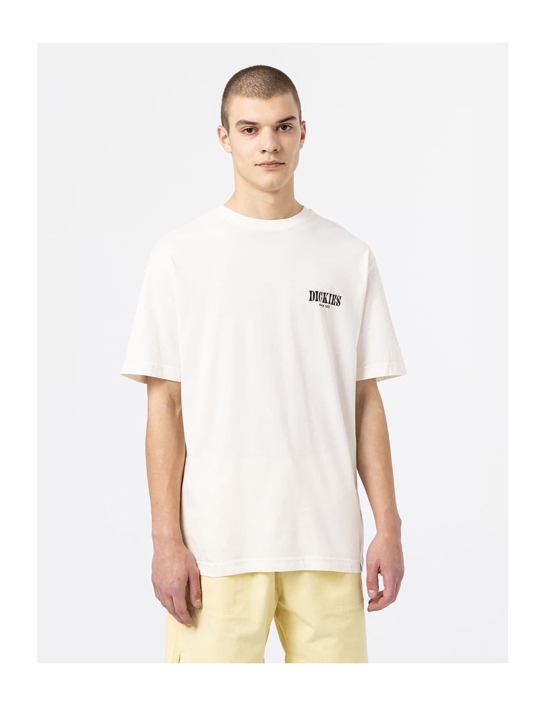 T-shirt DICKIES DK0A4XO4 1
