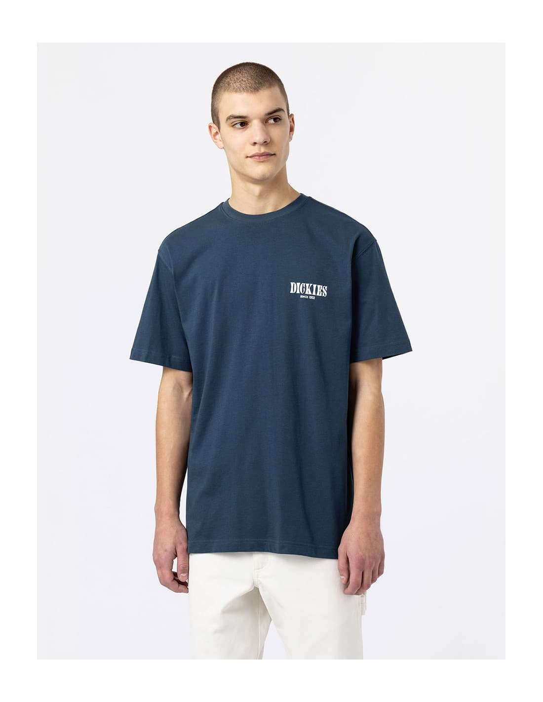 T-shirt DICKIES DK0A4XO4 7