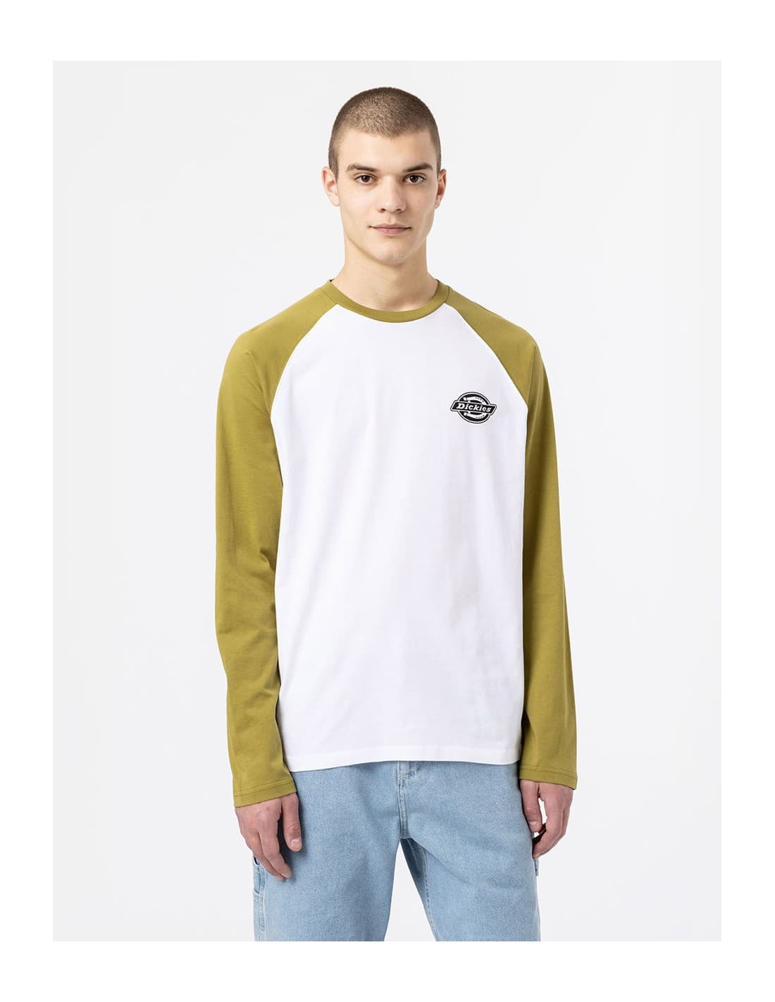 T-shirt DICKIES DK0A4XDF 1