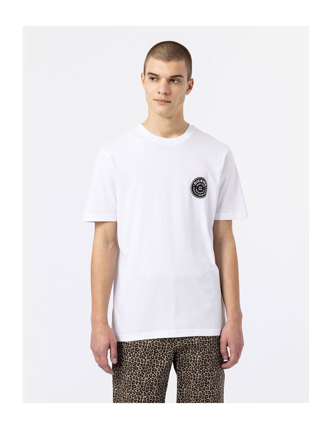 T-shirt DICKIES DK0A4XO6 3