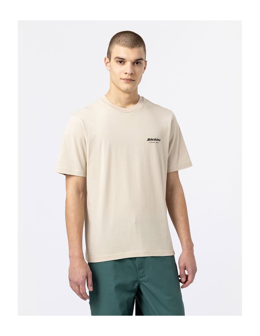 T-shirt DICKIES DK0A4XNY 4