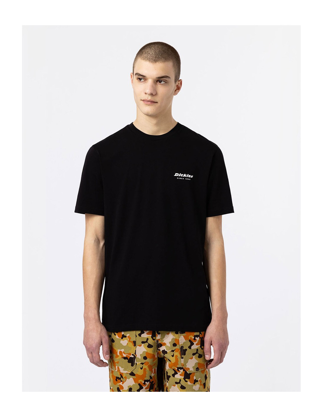 T-shirt DICKIES DK0A4XNY 7