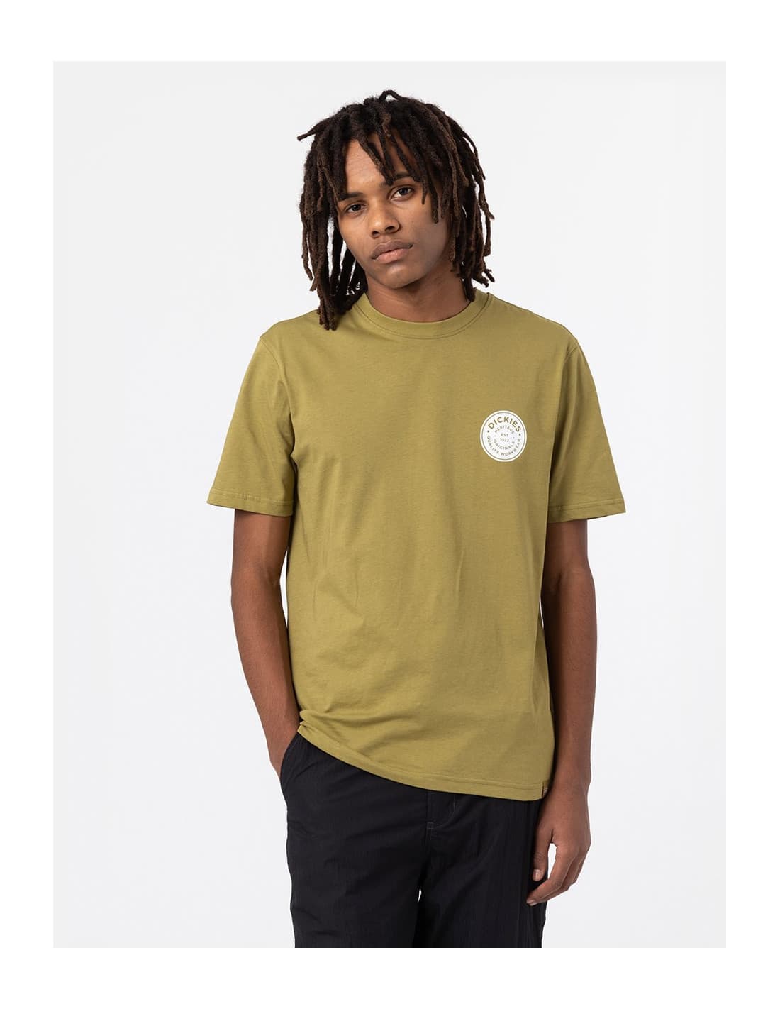 T-shirt DICKIES DK0A4XO6 4