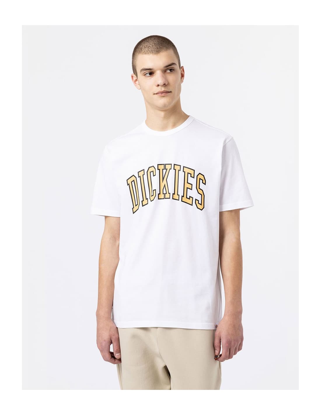 T-shirt DICKIES DK0A4X9F 4