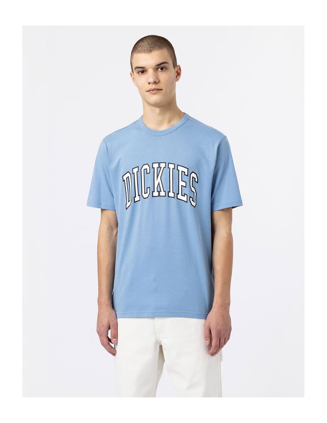 T-shirt DICKIES DK0A4X9F 6