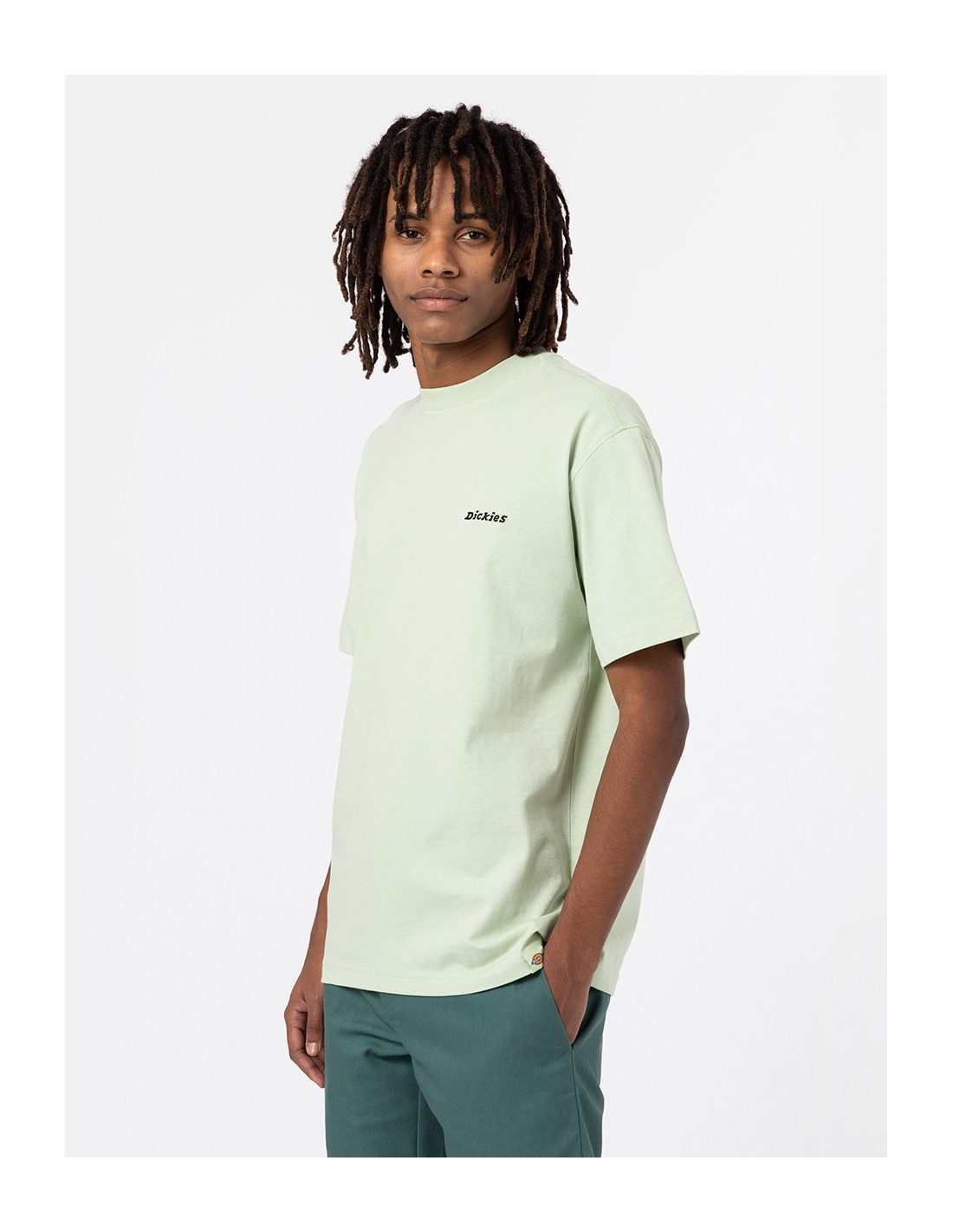 T-shirt DICKIES DK0A4X9O 5