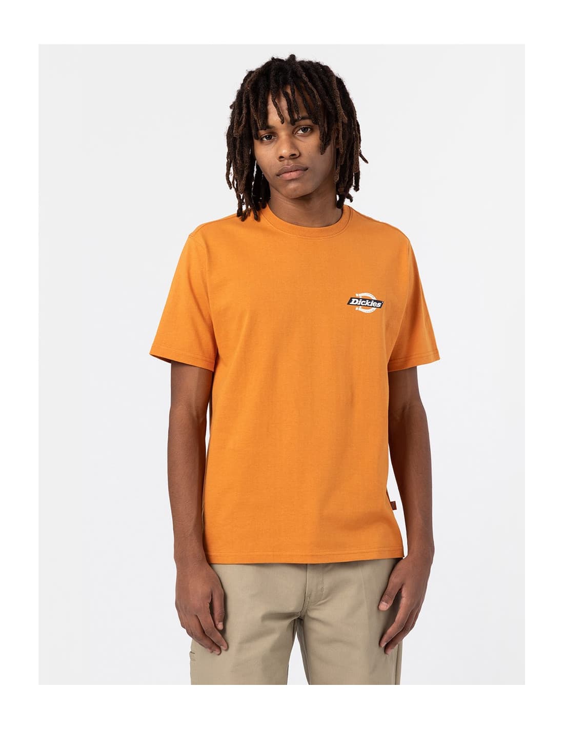 T-shirt DICKIES DK0A4XDC 6
