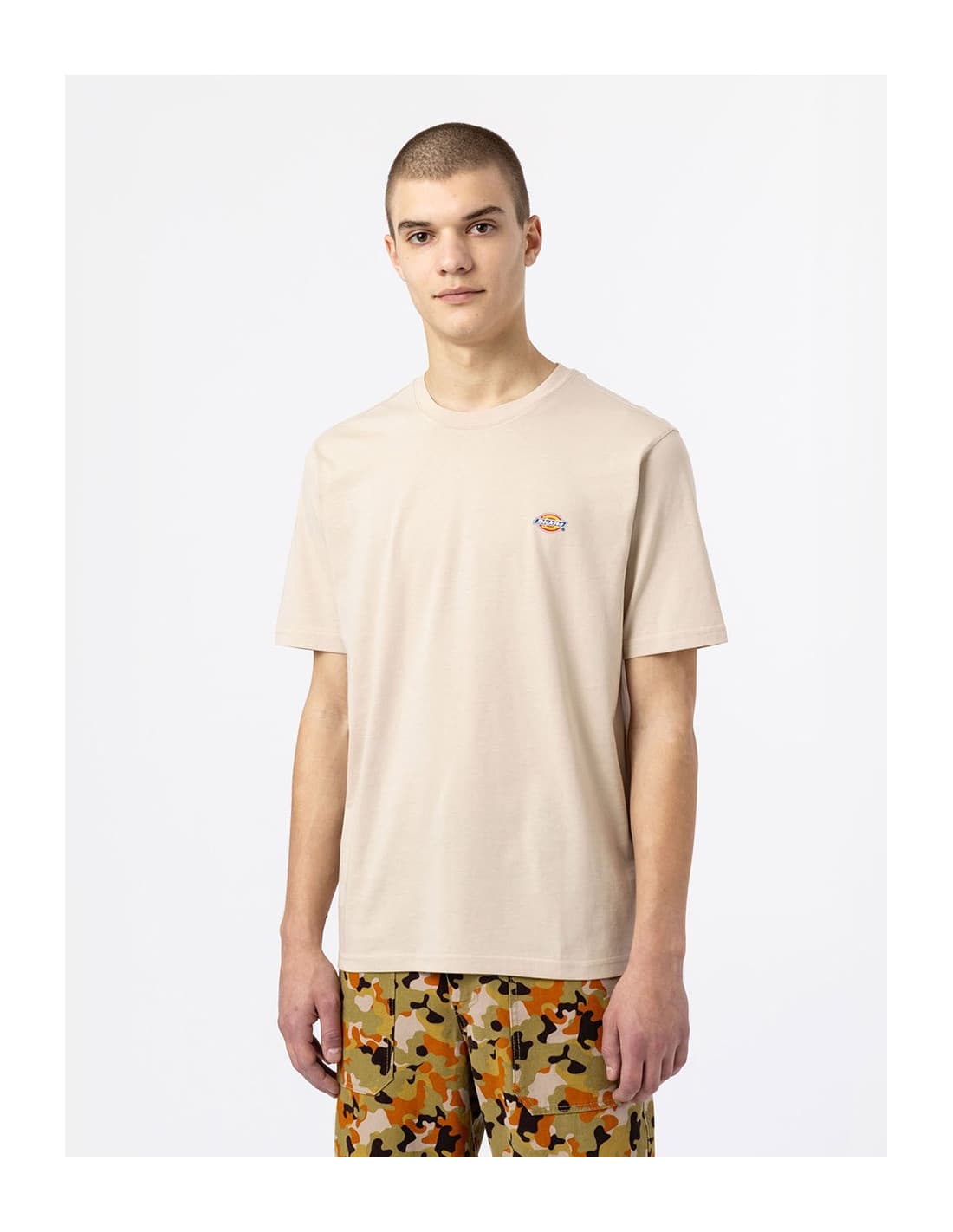 T-shirt DICKIES DK0A4XDB 1