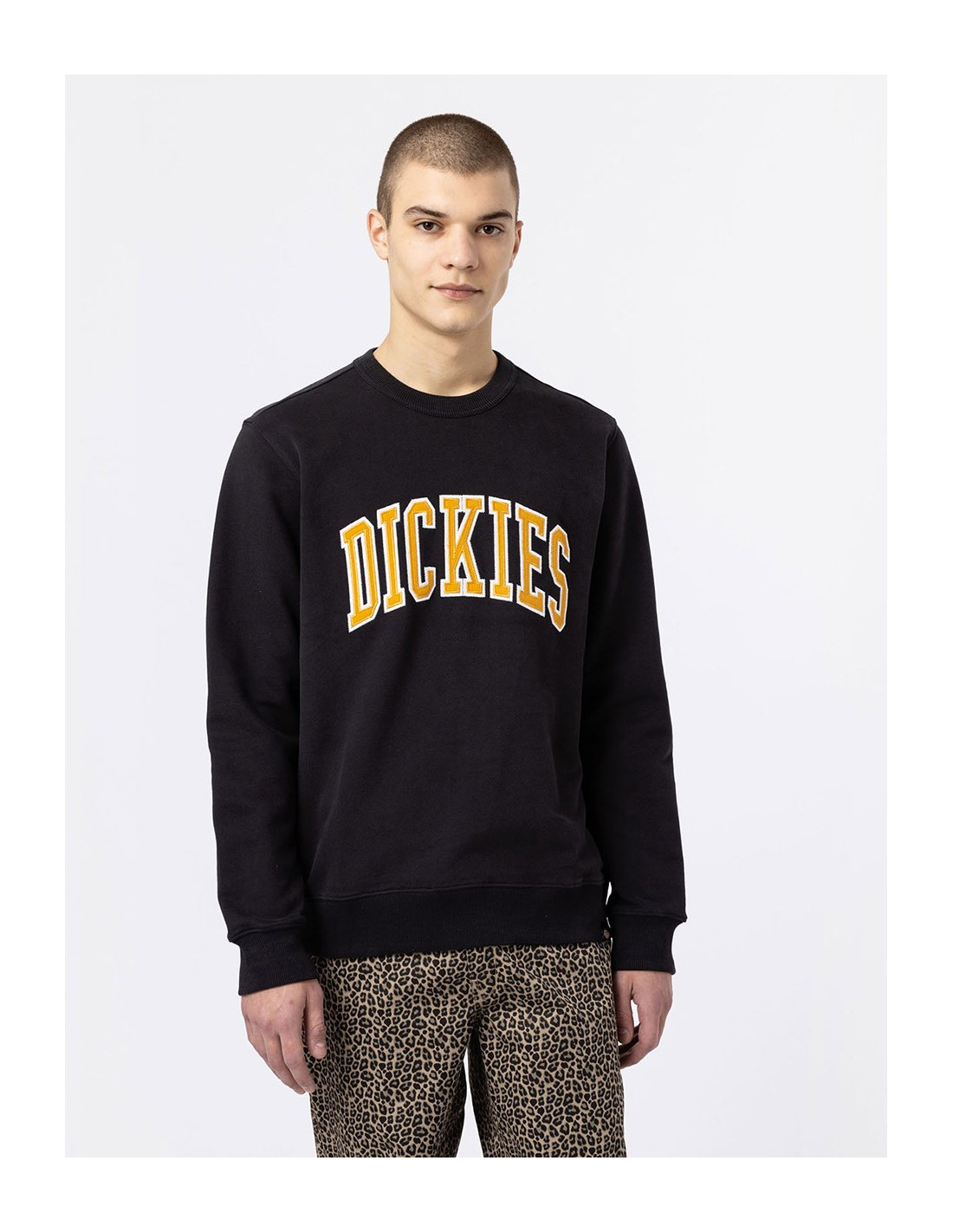Sweat-shirt DICKIES DK0A4XAB 3