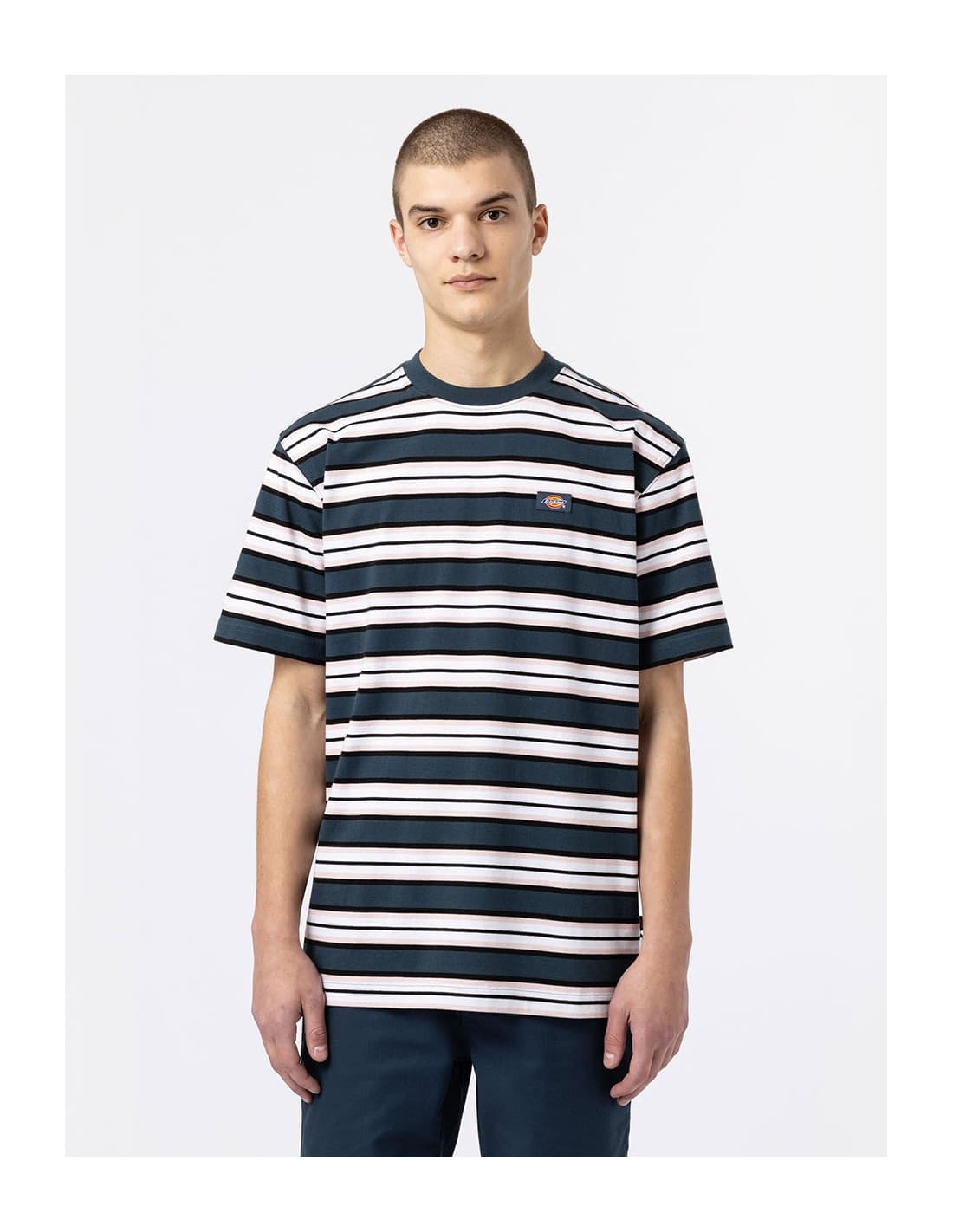 T-shirt DICKIES DK0A4XPC 1