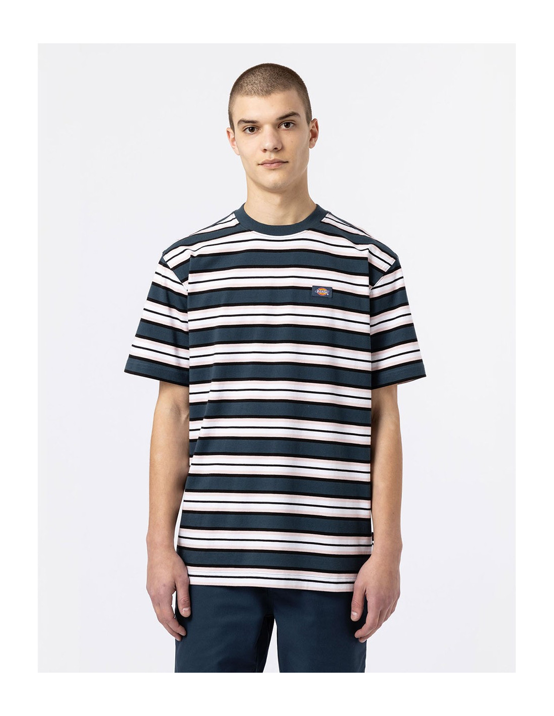 T-shirt DICKIES DK0A4XPC 1