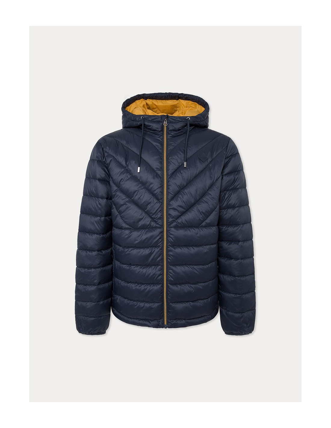 HACKETT HM403212 - Veste 1
