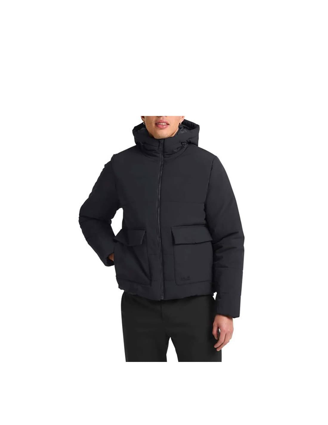 Veste à capuche JACK WOLFSKIN Northern Lite 1