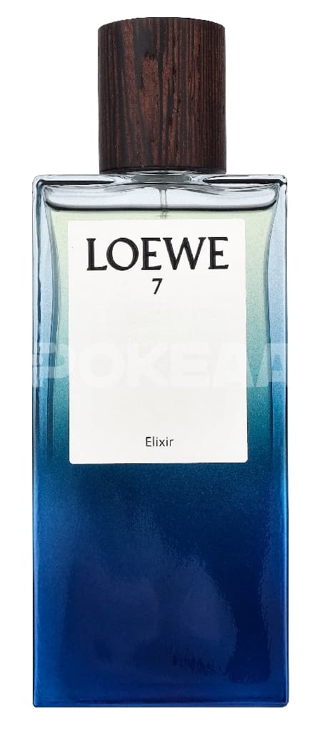 Loewe 7 Elixir Edp Spray 100ml 2