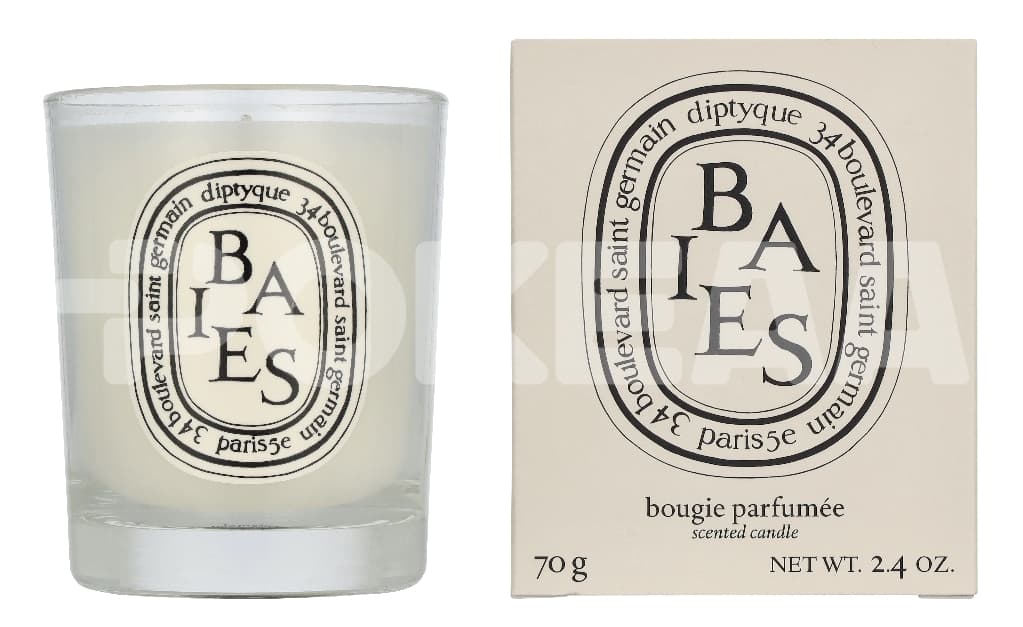 Diptyque Baies Scented Candle 1