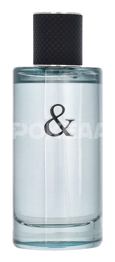 Tiffany & Co & Love For Him Edt Spray 90ml 2