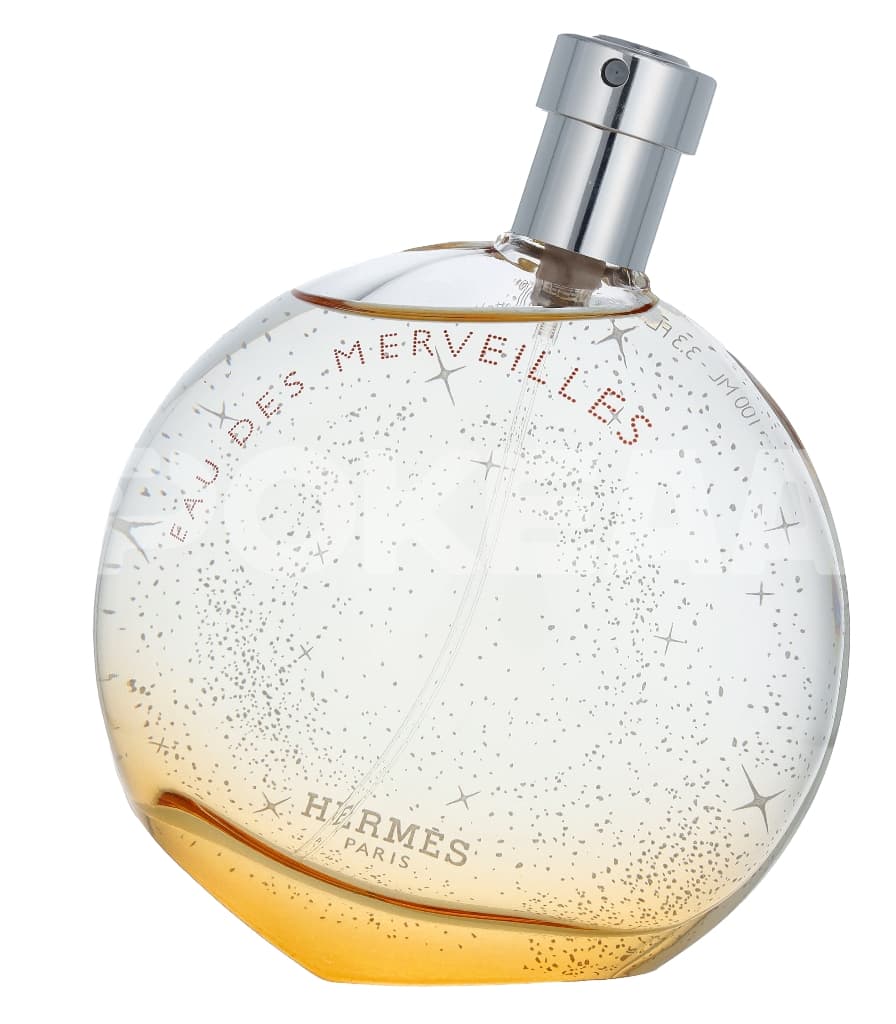 Hermes Eau Des Merveilles Edt Spray 100ml 2