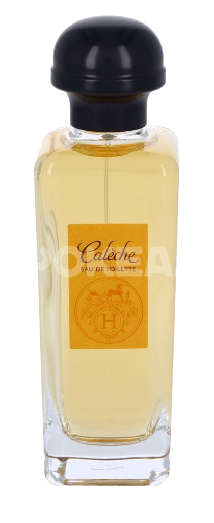 Hermes Caleche Edt Spray 100ml 2