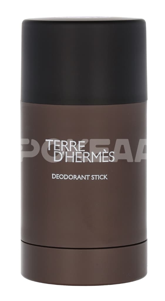 Hermes Terre D'Hermes Deo Stick 75ml - Alcohol Free 2