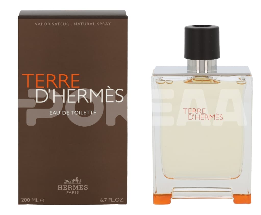 Hermes Terre D'Hermes Edt Spray 200ml 1
