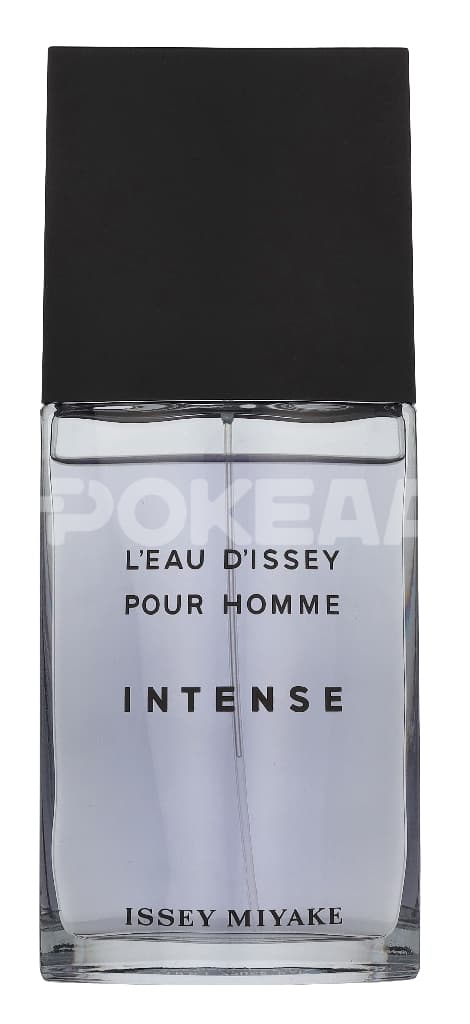 Issey Miyake L'Eau D'Issey Homme Intense Edt Spray 125ml 2