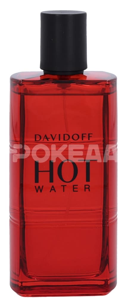 Davidoff Hot Water Edt Spray 110ml 2