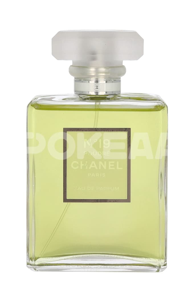 Chanel No 19 Poudre Edp Spray 100ml 2