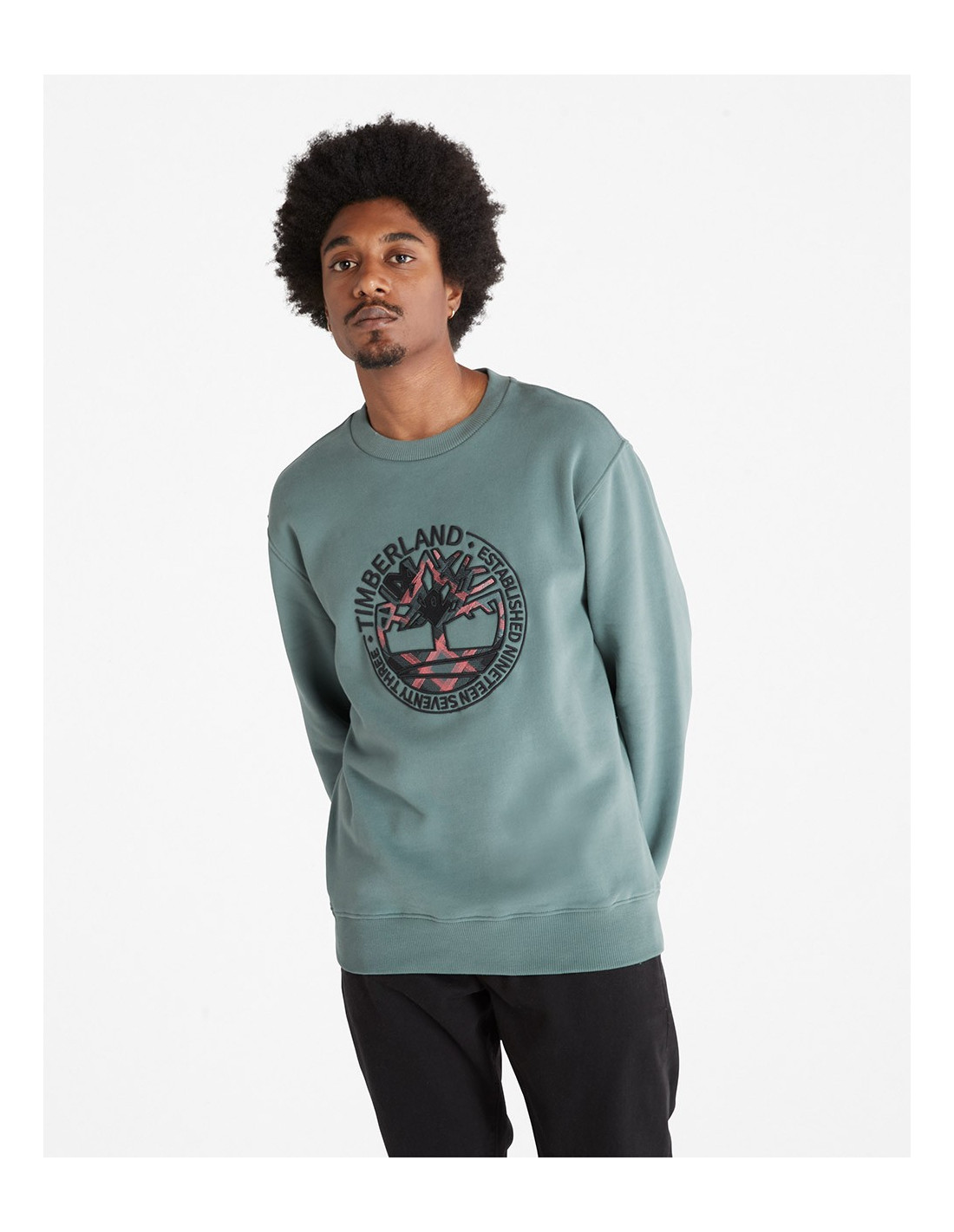 Sweat-shirt TIMBERLAND Little Cold Crew SW 4