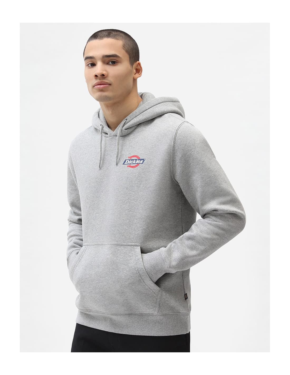 Sweat-shirt DICKIES DK0A4XAH 2