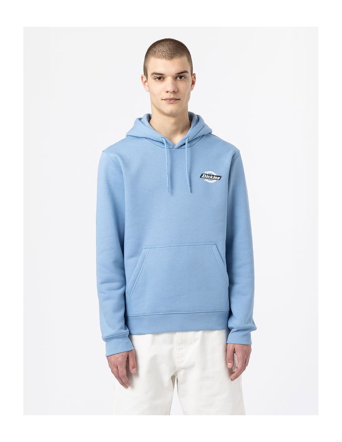 Sweat-shirt DICKIES DK0A4XAH 5