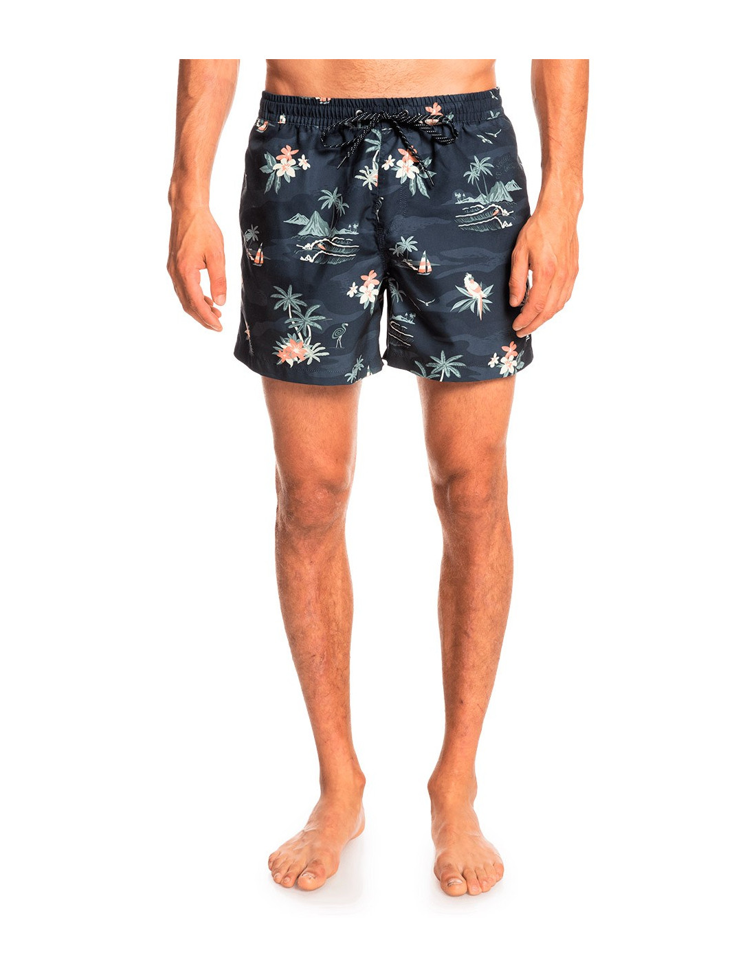 Short de bain QUIKSILVER Everyday Scenic Volley 15 10