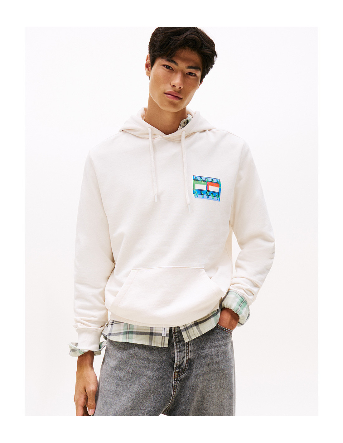 Sweat-shirt TOMMY HILFIGER DM0DM22077 1