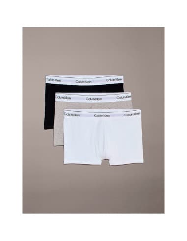 CALVIN KLEIN LV00NB4392 - Lot de 3 boxers 2