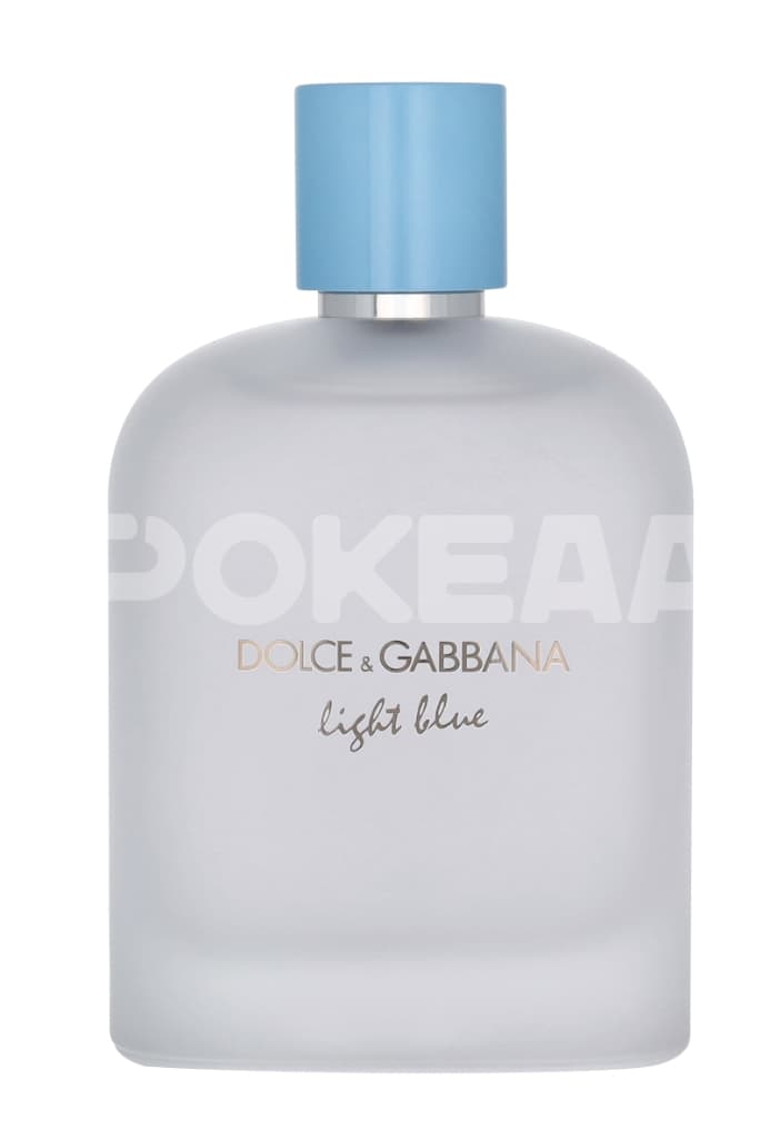 Dolce & Gabbana Light Blue Pour Homme Edt Spray Restage 200ml 2