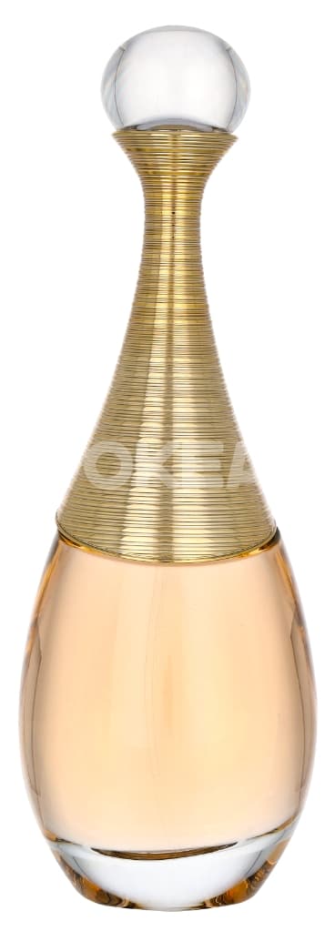 Dior J'Adore Edp Spray 100ml 2