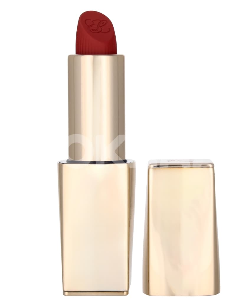 E.Lauder Pure Color Matte Refillable Lipstick 3.5g - #569 Fearless 2