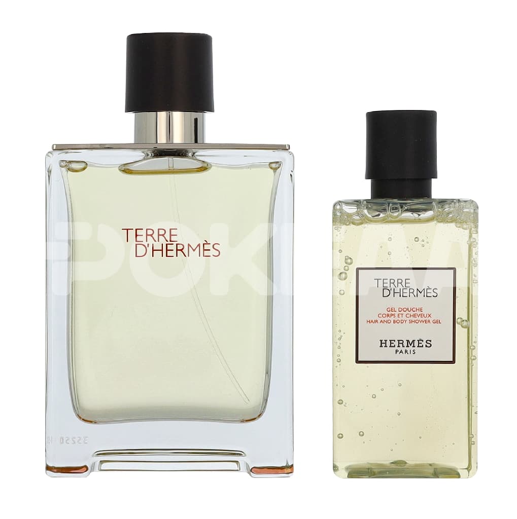 Hermes Terre D'Hermes Giftset 180ml - Edt Spray 100 ml / Shower Gel 80 ml 2