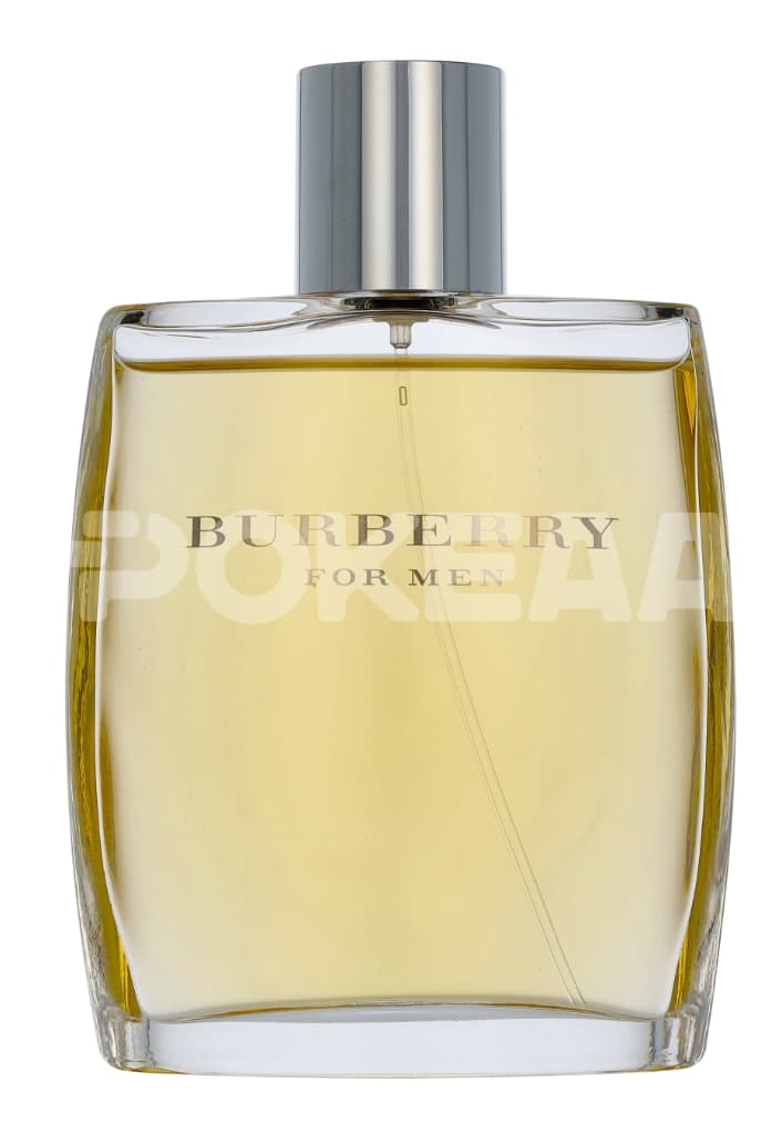 Burberry For Men Edt Spray 100ml 2