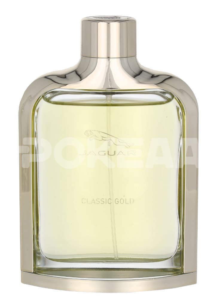 Jaguar Classic Gold Edt Spray 100ml 2