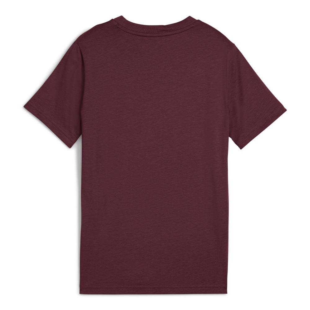 T-shirt Bordeaux Garçon Puma Ess 2 Color 2
