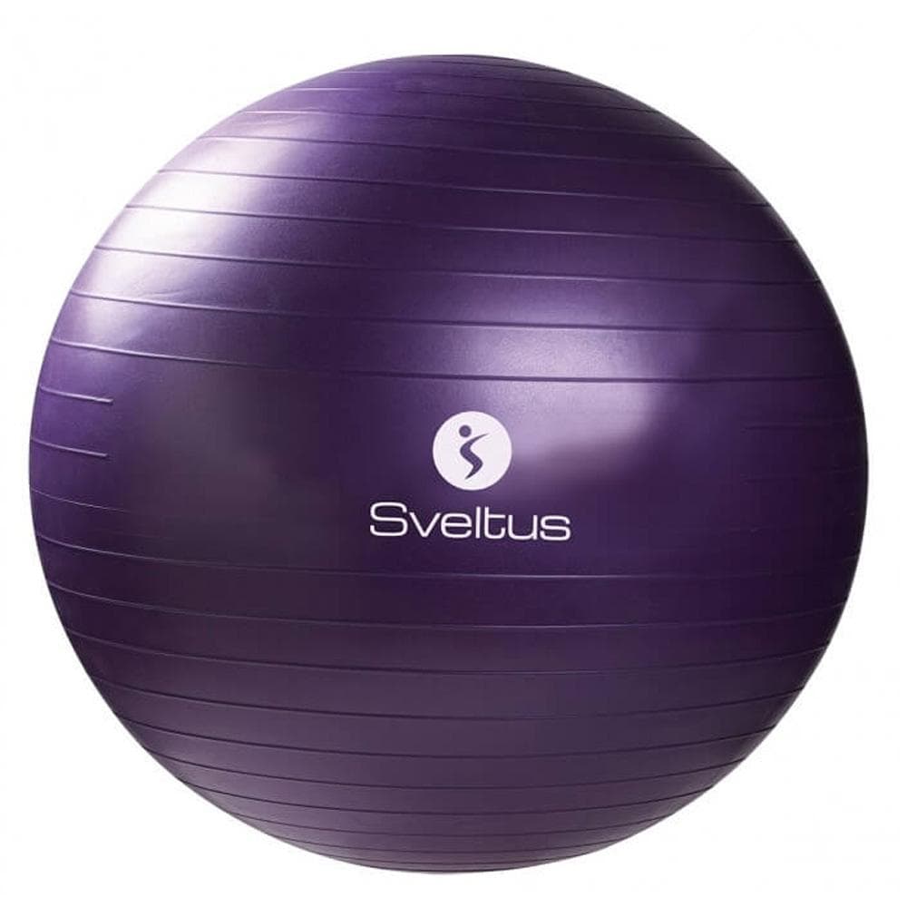 Ballon de Gymnastique Sveltus Violet 55 Cm 1