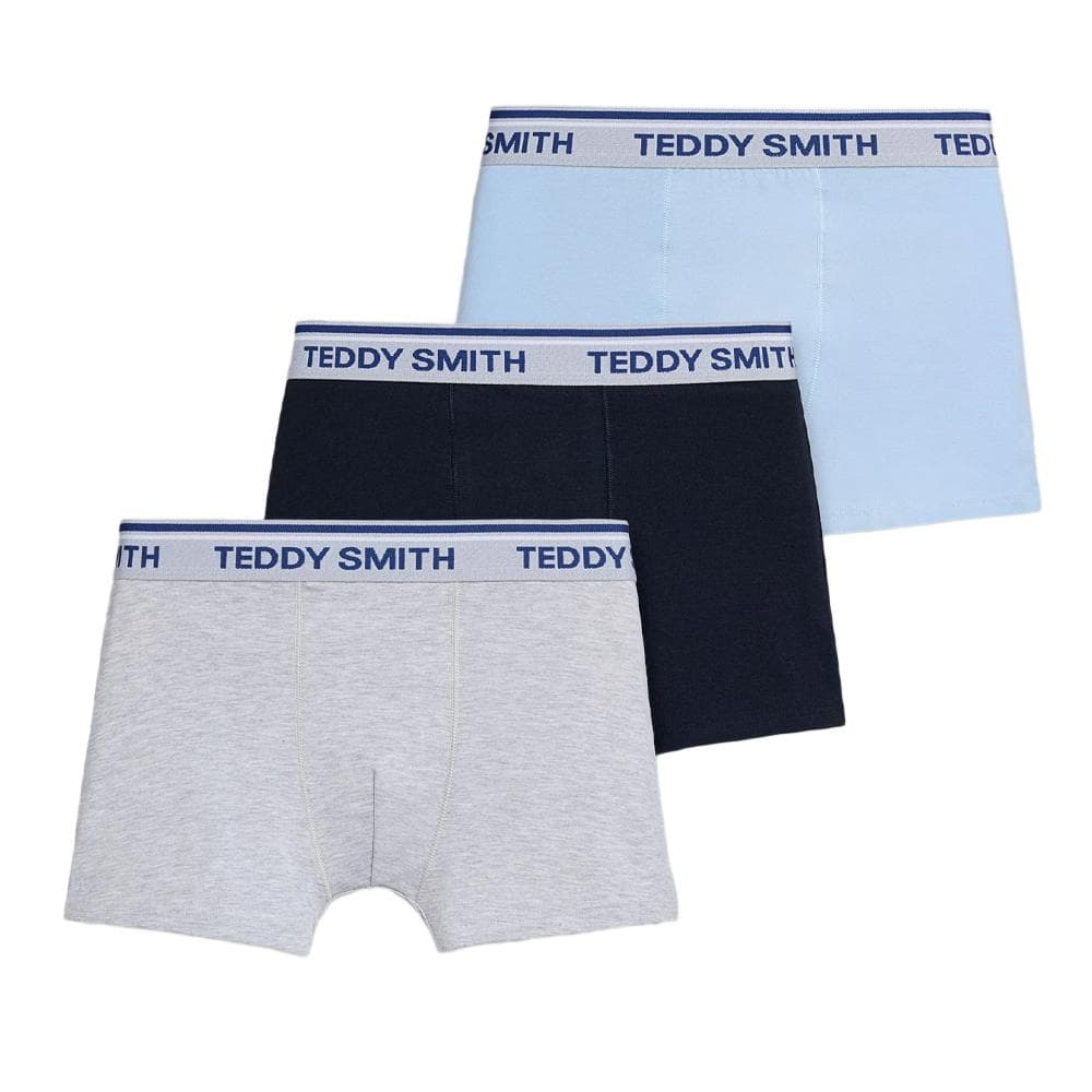 Lot de 3 Boxers Bleu/Marine/Gris Homme Teddy Smith 1TS/52/6 1
