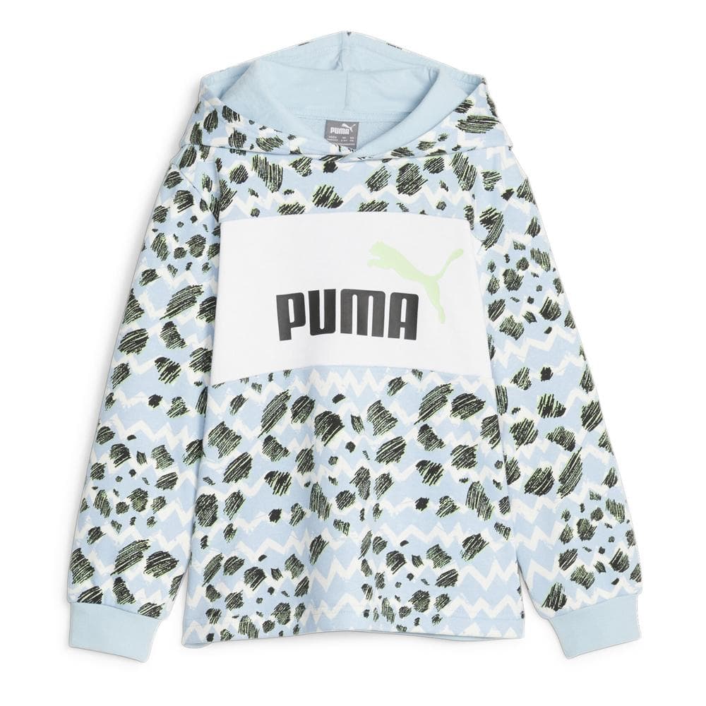 Sweat Capuche Bleu Garçon Puma Mixmch 1