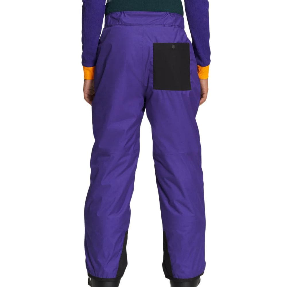 Pantalon de ski Violet Enfant The North Face Freedom Insulated 2