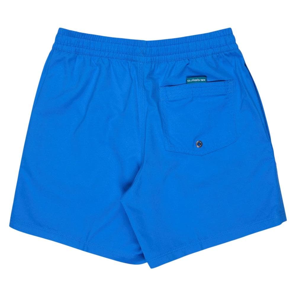 Maillot de Bain Bleu Homme Quiksilver Solid 15 EQYJV04120 2