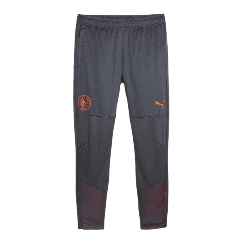 MANCHESTER CITY Pantalon de foot Gris Homme Puma 772864 1