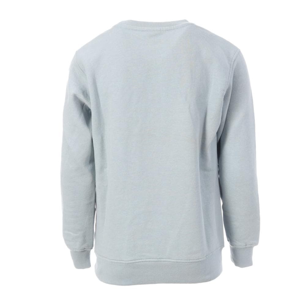 Sweat Bleu Ciel Garçon Redskins 4043 2
