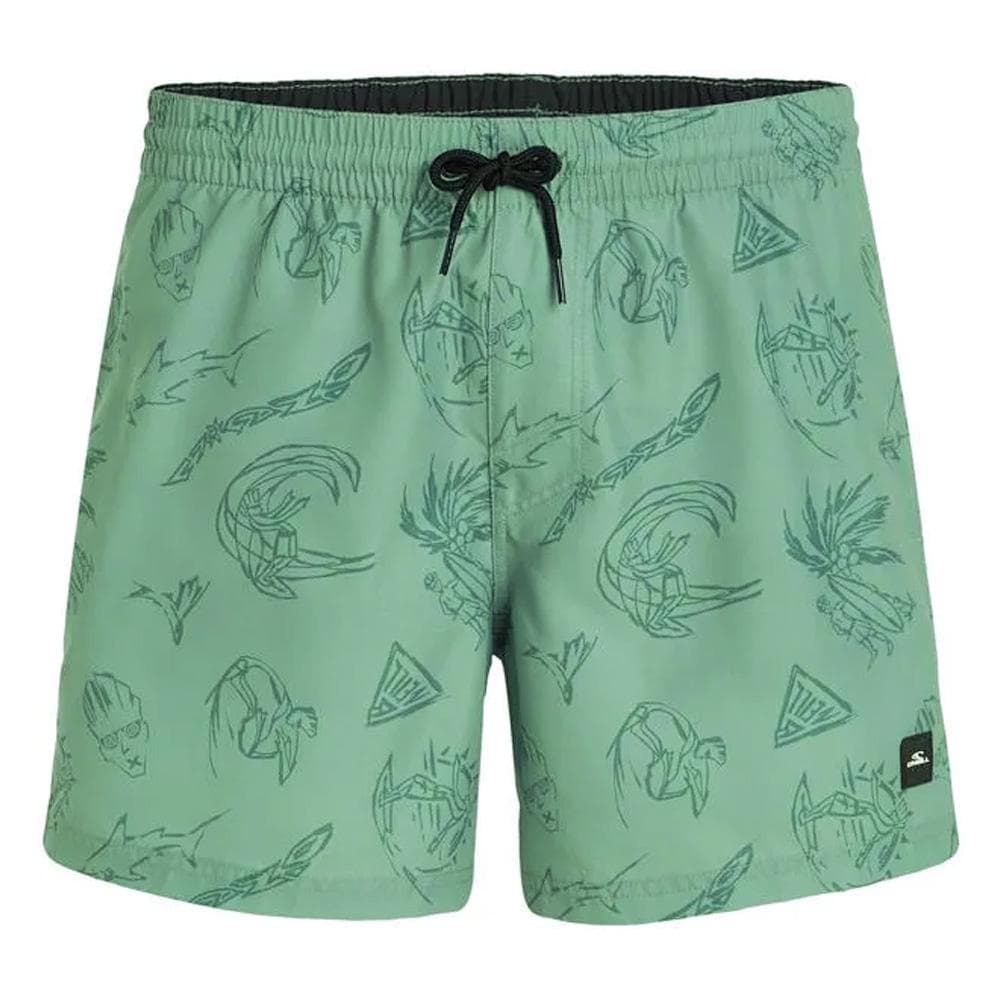 Maillot de bain Vert Homme O'Neill Cali 1
